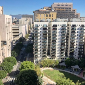 14 story condominium building in Downtown Los Angeles